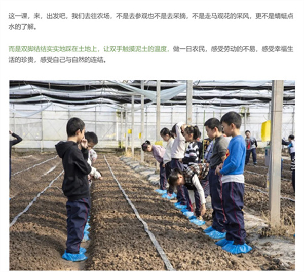 一碗炒飯，一日農民，一種感恩。(圖5)