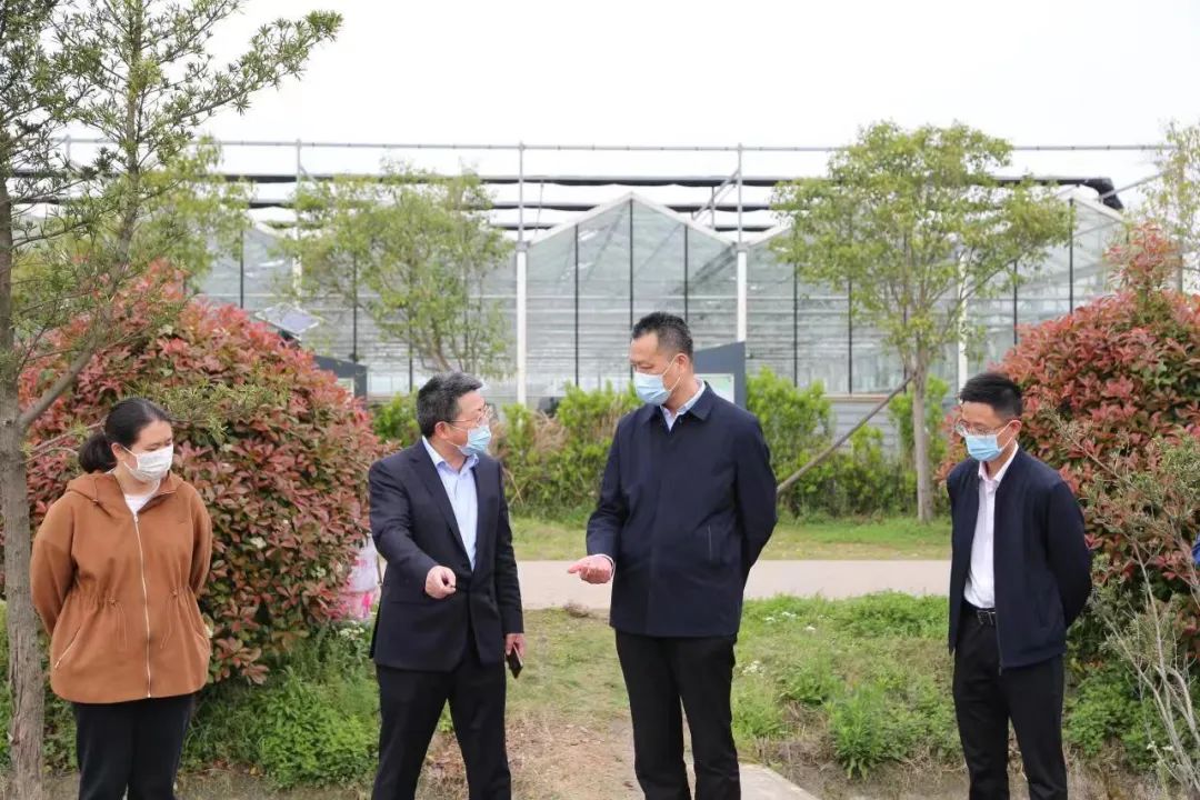 市農(nóng)業(yè)農(nóng)村局局長(zhǎng)史立權(quán)赴龍山鎮(zhèn)調(diào)研指導(dǎo)疫情防控和生產(chǎn)保供工作(圖1) 1-22042210515R55.jpg