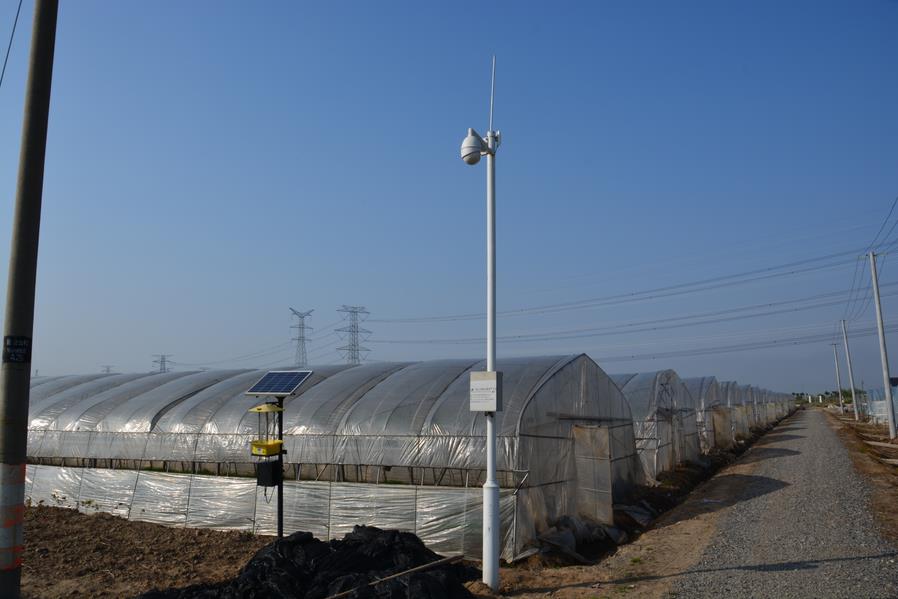 智慧農(nóng)業(yè)(圖3) 1-2204221R01LY.jpg